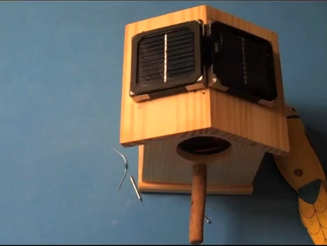 raspberry pi birdhouse camera