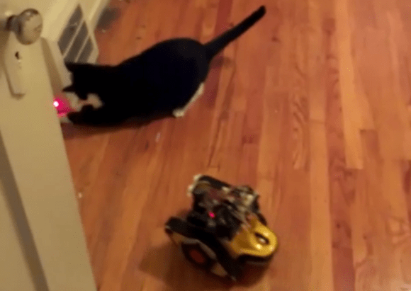 laser-toting-robot-taunts-house-cat