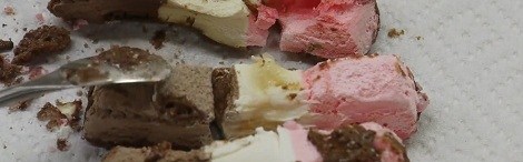 Freeze Drying Astronaut Ice Cream | Hackaday