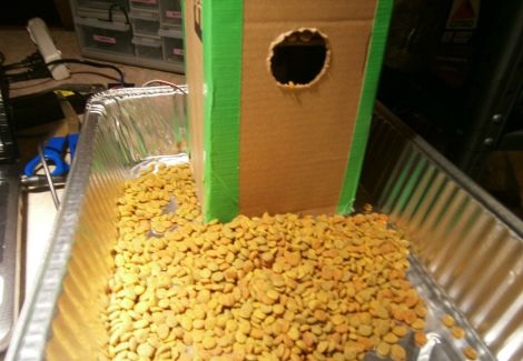 Diy cat food dispenser store from cardboard at home