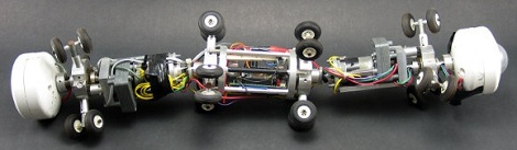 Snake 2024 robot project