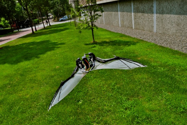 Batbot: Building A Functionally Correct Bat Wing Robot ...