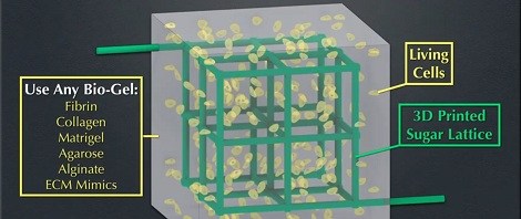 Printing Organs With A 3D Printer | Hackaday