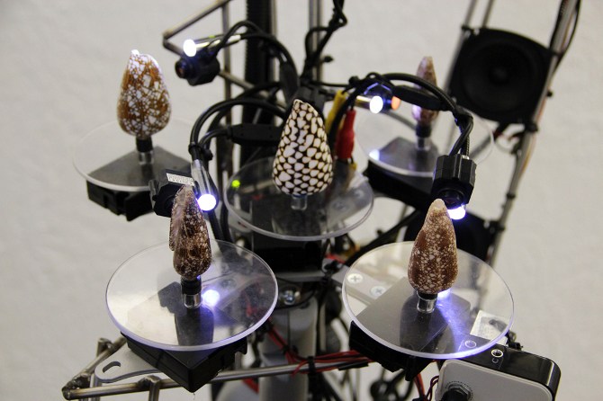 Cellular Automata | Hackaday