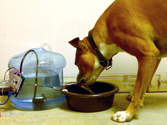 FAQ -- Automatic Dog Waterers