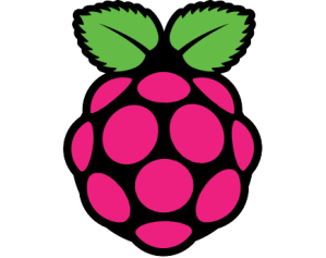raspberrypi_logo