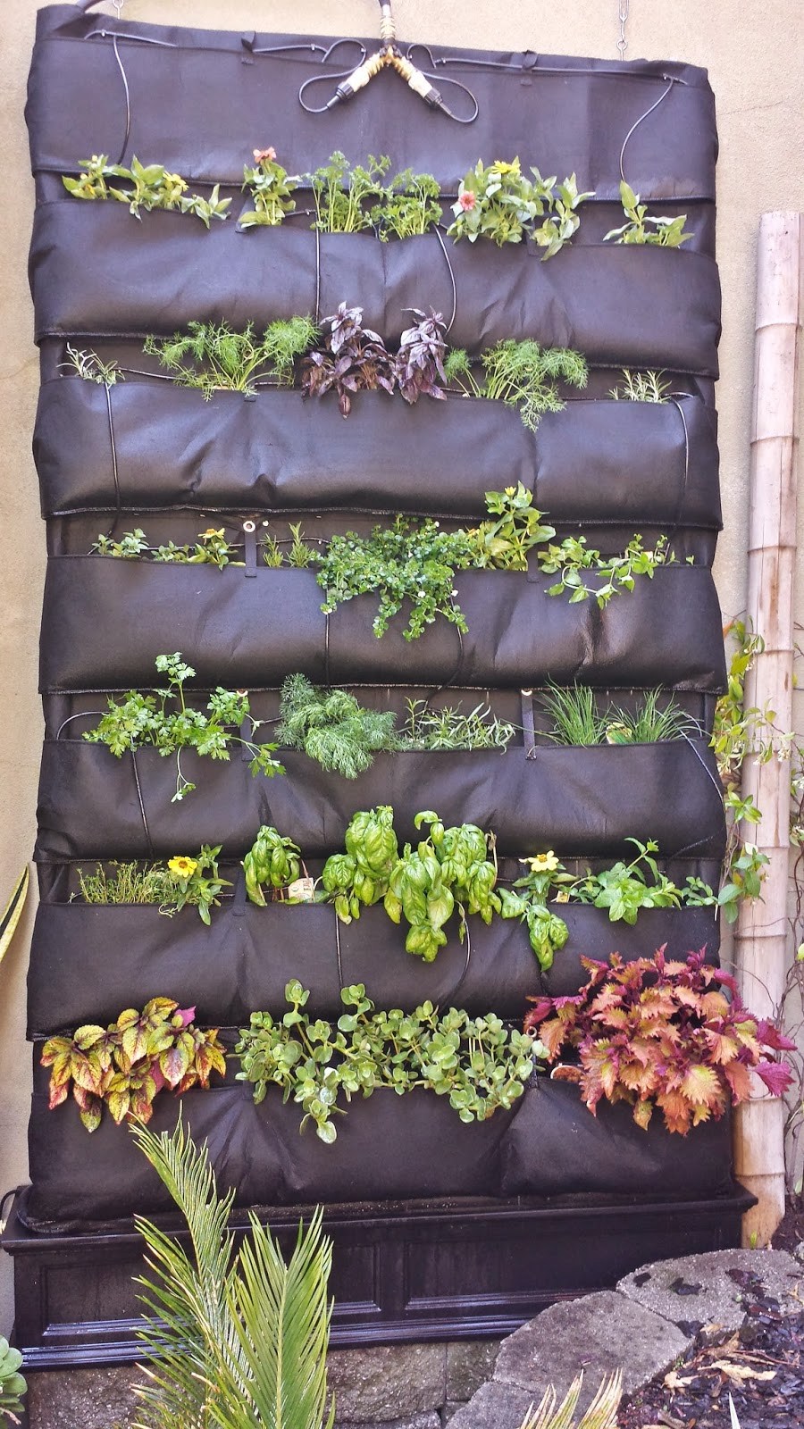 DIY Hydroponic System Grows Herbs On The Wall | Hackaday