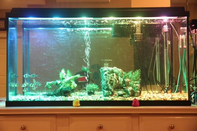 Aquarium with variable LEDs