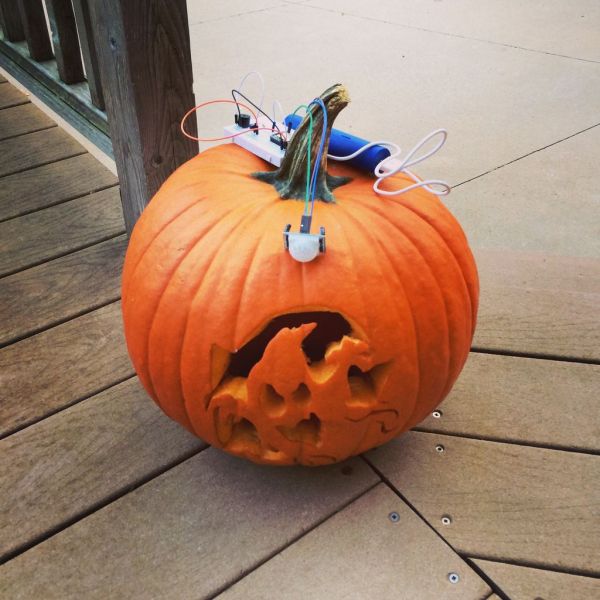 Pumpkin with a motion detector to deter squirrels