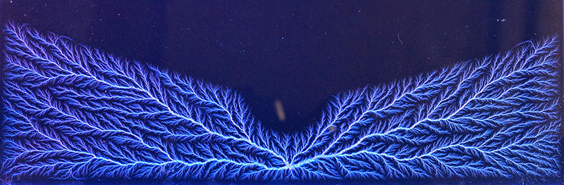 What are Lichtenberg Figures, and how are they Made?