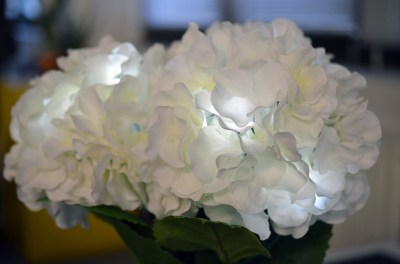 LED Flowers