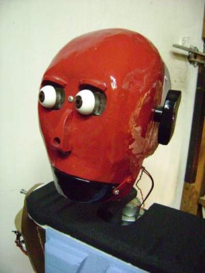 Biped robot head