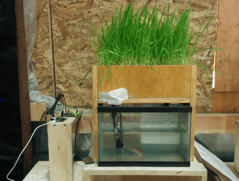 Hacklet 50 – Hydroponic Projects | Hackaday