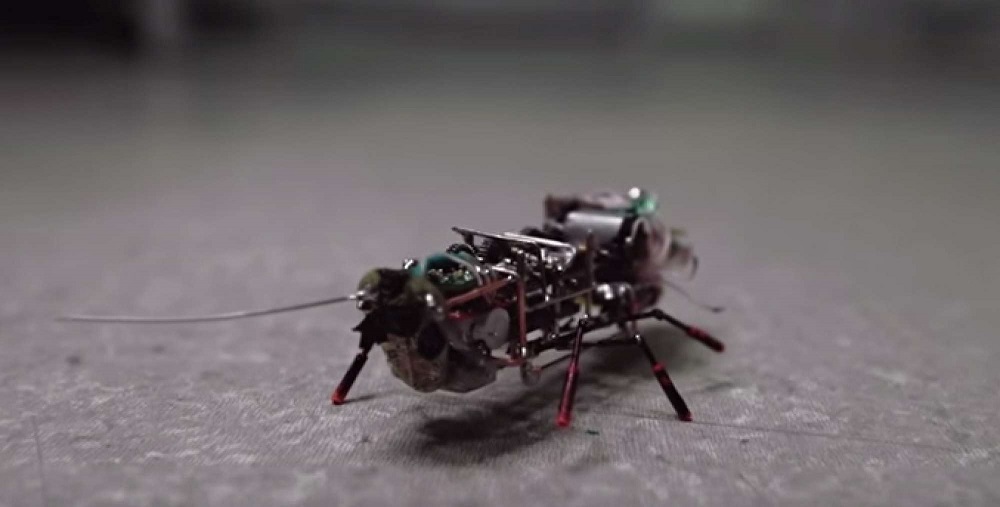 Robotic Cockroach Built By Russian University | Hackaday