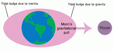 Tidal bulge caused by the Moon's gravitational pull. Image credit: NOAA