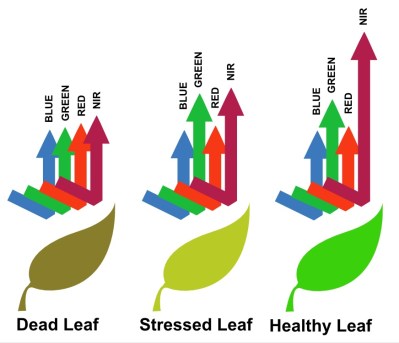 Leaf reflectivity [source: Agribotix]