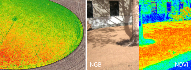 NDVI processed images. Left: crop growth as a green gradient blended with normal visual imagery [Source: Agribotix] Right: NDVI processing with plant growth as a red gradient [source: Public Lab Wiki]