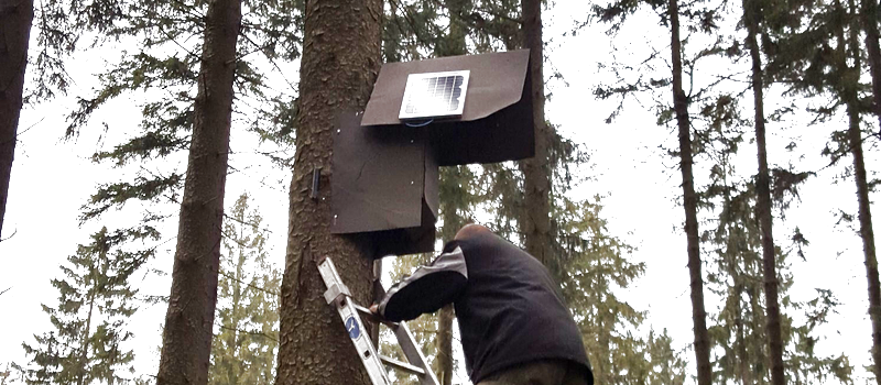 solar powered wireless birdhouse camera