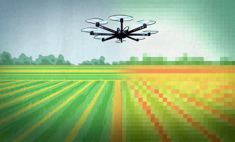 Drone over a wheat field