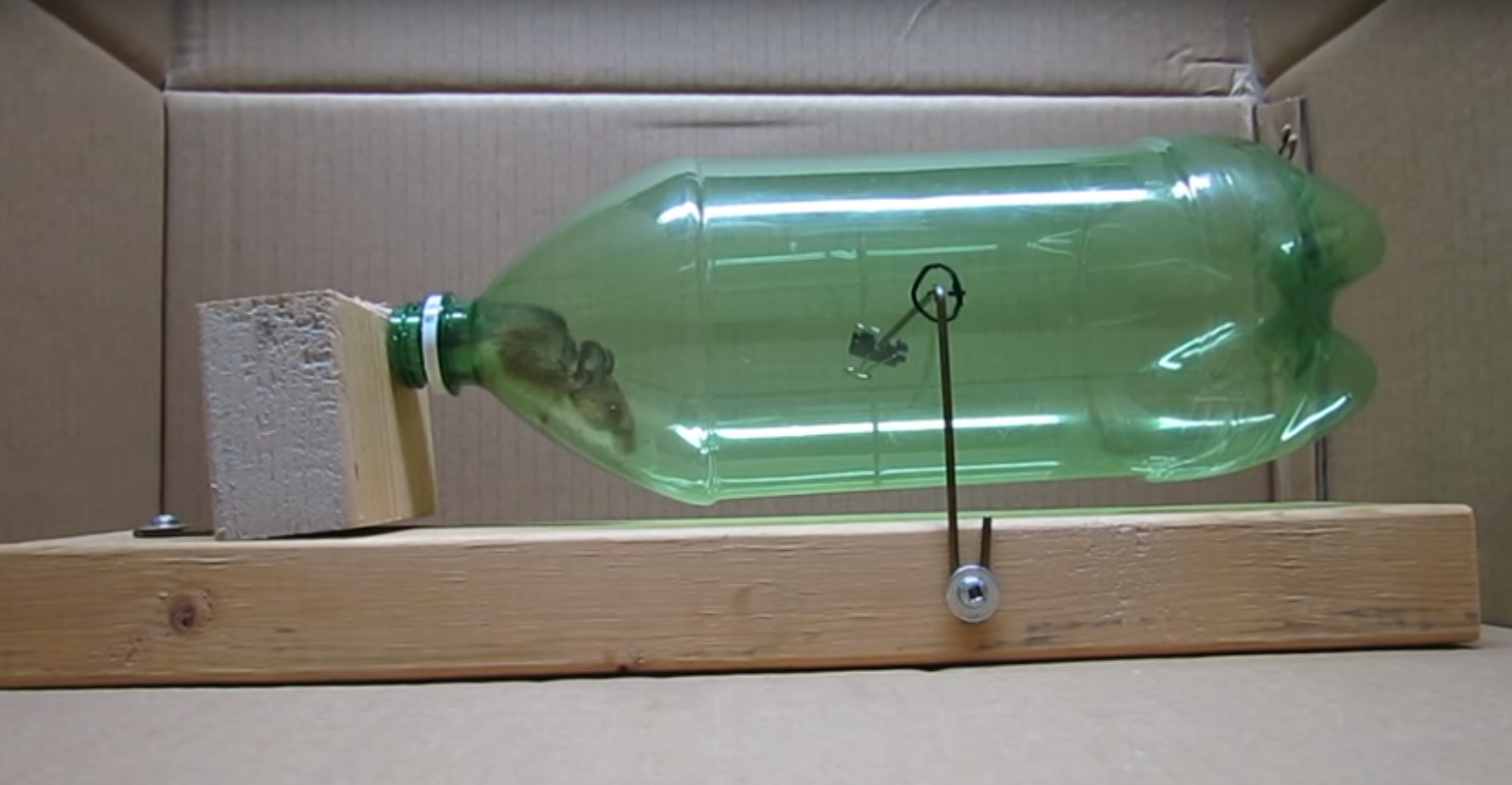 The bait trap, made of a PET bottle, used to collect the harvest mouse