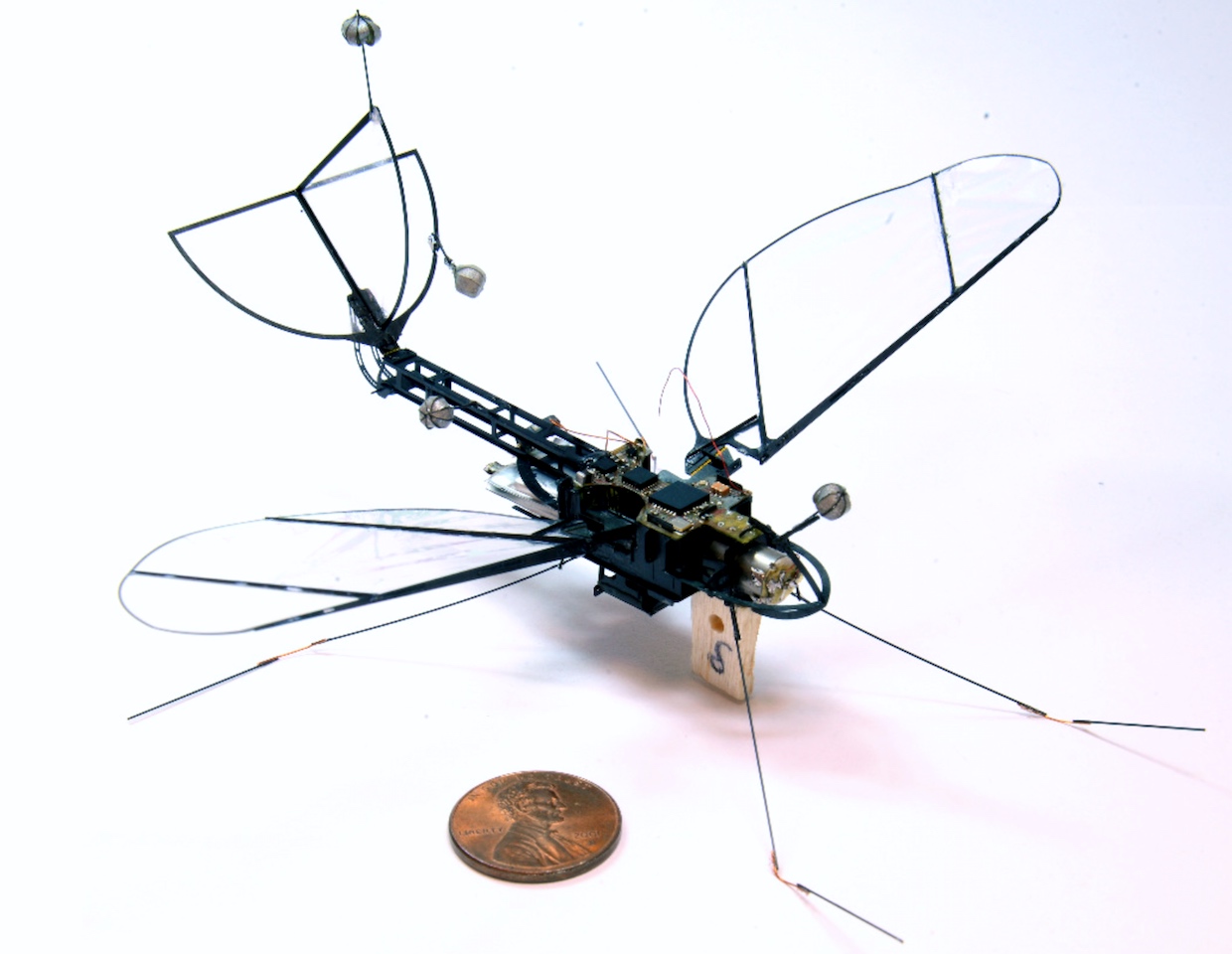 robotic insects technology