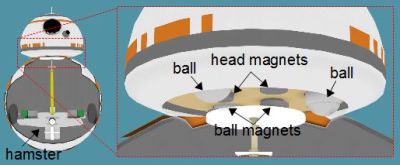 Magnets holding the head on