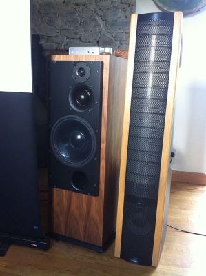 A Martin Logan electrostatic speaker on the left next to a moving-coil speaker. By Bownose on Flickr [CC BY 2.0 ], via Wikimedia Commons.