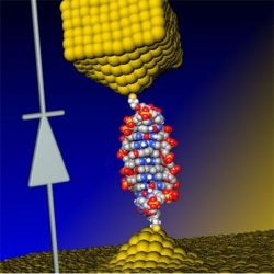 DNA nano diode