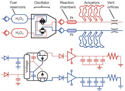 Octobot mechanical and electrical analogue circuits