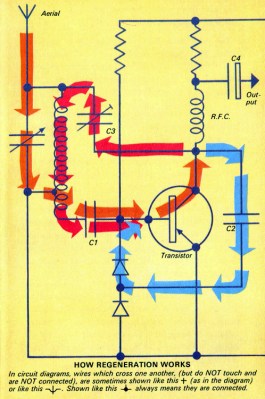 How regeneration works.