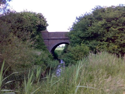 There's a main line railway hidden in that undergrowth!