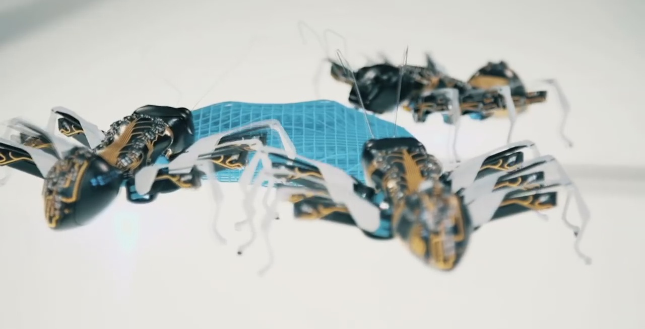 festo camera ants