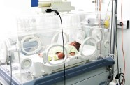 Two Bits A Gander Of Premature Babies Incubators And Coney Island 