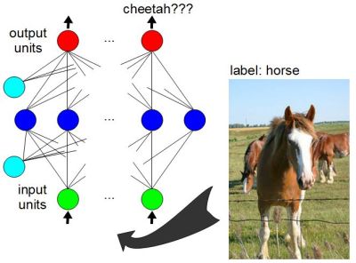 Training neural network with labeled data