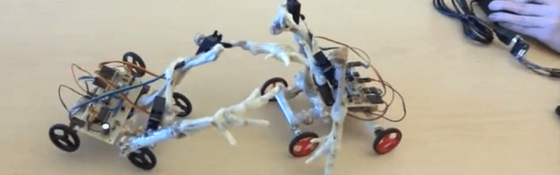 Cyborg-chicken-fight-pa9melnu4_cmp4-shot0003_featured_blogview | Hackaday