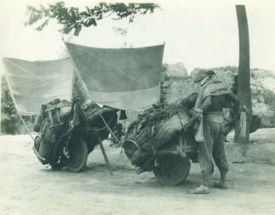 Sail-assisted centre-wheel Chinese wheelbarrows. (Public domain)