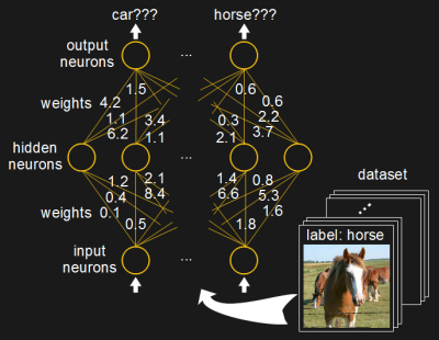 Training a neural network