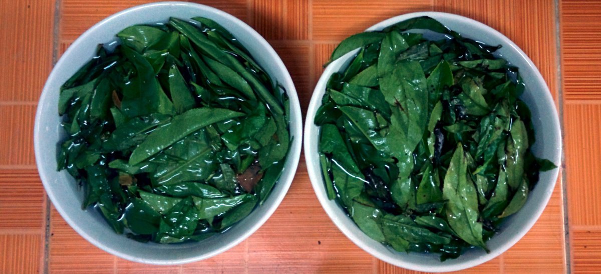 Manufacturing Your Own Single-Origin Tea | Hackaday