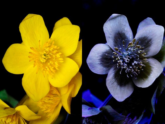 Hyperspectral Imaging – Seeing The Unseeable | Hackaday