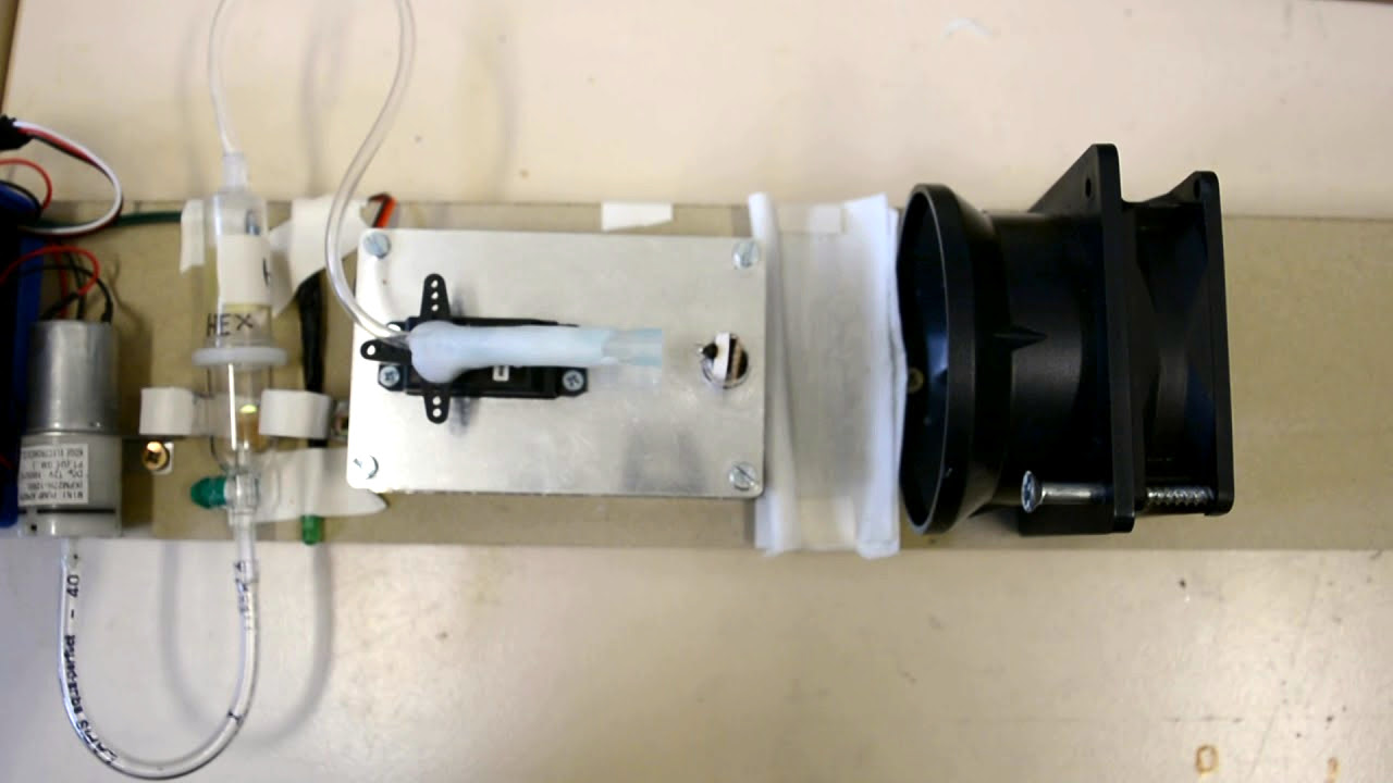 HassleFree Classical Conditioning For Honey Bees Hackaday