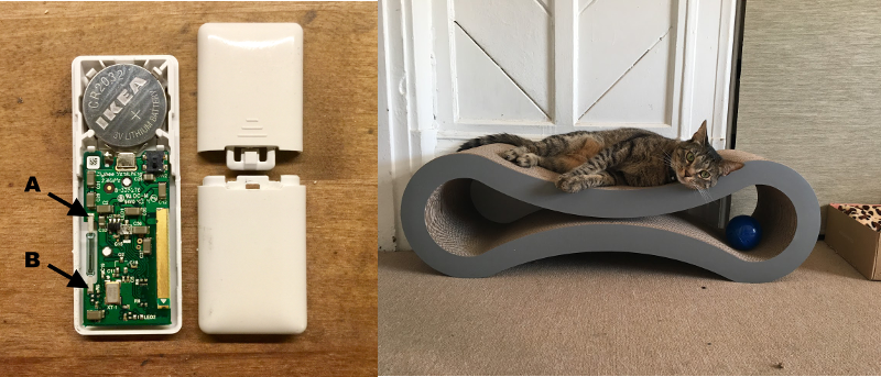 Cat Trap  Hackaday