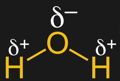 A dipole in a water molecule. Jü [CC0]