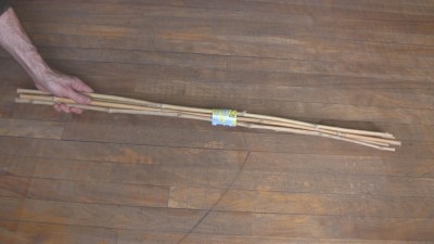 Bamboo from dollar store