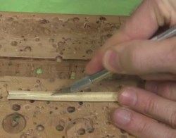 Cutting bamboo