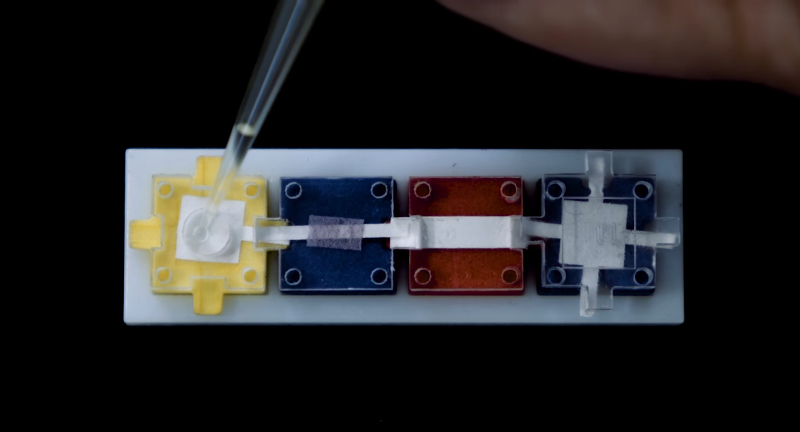 Modular Blocks Help Fight Disease | Hackaday