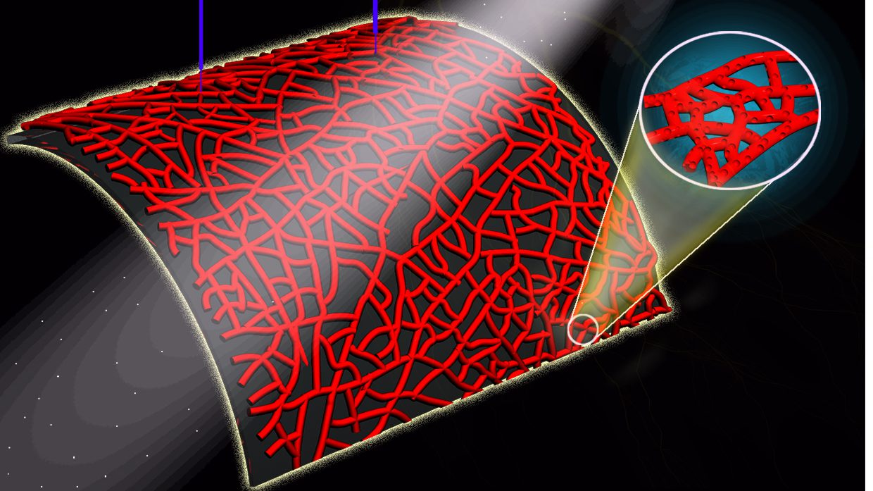 Silicon Nanowires Market Emerging Trends, Global Scope and Demand