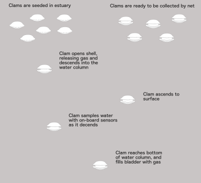 Underwater distributed sensor network descent and ascent