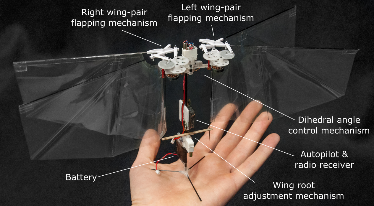 Wing root. DELFLY Nimble.. Flapping Wings. Первые летающие роботы фото. E-Flap робот.