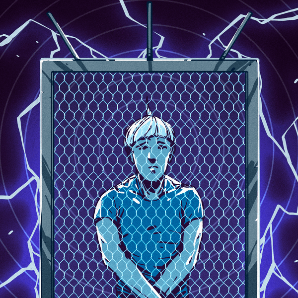 What Is a Faraday Cage? How Does It Work? Where Is It Used