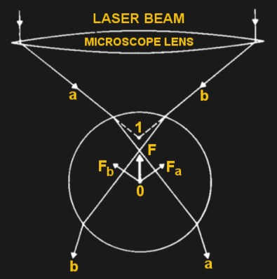 Ray optics explanation for optical tweezers